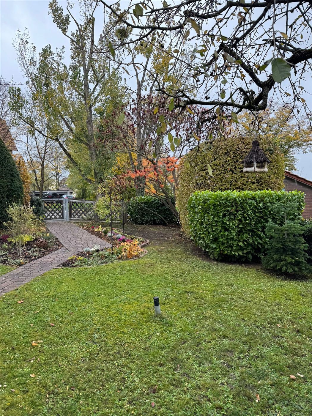 Gepflegte Grünanlage nach Rasenschnitt